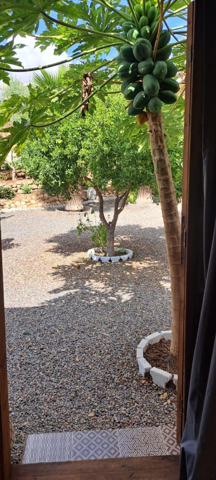 Riad Asmaa Agadir Azrarag Kültér fotó